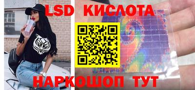 винт Будённовск