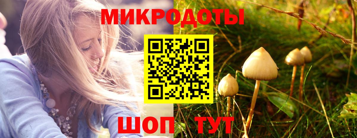 Галлюциногенные грибы GOLDEN TEACHER Санкт-Петербург